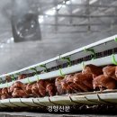 개정 닭 오리