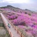 열린 이미지