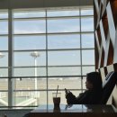 정모소프트 | [후쿠오카]📍1일차 - 키와미야함바그 / 씨사이드 모모치해변 / 후쿠오카타워 / 야키토리 마코토츠키...