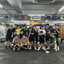 슈가복싱 이미지