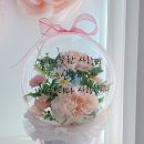 카페호야 이미지