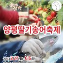 [올마이스] 양평 딸기 송어 축제 이미지