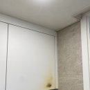 판교로743번길 이미지