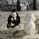 (주)세움축산 | 세종시 반려동물 등록 9월까지! (+동물병원, 등록비용, 내장칩시술후기)