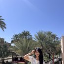 수영1리 | 오만 니즈와 투어 무스카트 출발 당일치기 가격 예약 일정 뚜벅이 추천