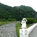 김삿갓면-13 이미지