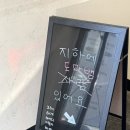 대전 파충류 | 대전서구게코샵 추천 | 블루트리엑조틱 파충류샵
