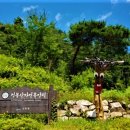 국립검봉산자연휴양림 이미지