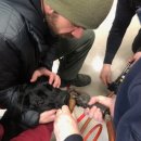 동원동물병원 이미지