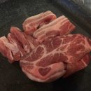 남미사