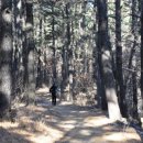 경주숲 3,4 이미지