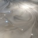 화이트펫# 이미지