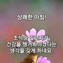 망막질환,당뇨 망막병증 이미지