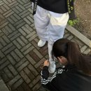 태권스토리인성관 네이버블로그
