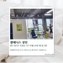 [대구] 팝테니스 팝테니스 상인 솔직후기