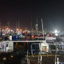 원낚시백화점 이미지