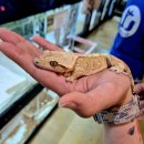 마리앤쥬 이미지