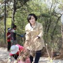 등산로 입구 이미지