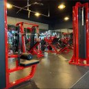 포바디짐 이미지