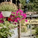 지니푸드 이미지