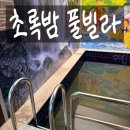 초록밤 | [양평숙소 추천] 양평독채펜션 초록밤풀빌라펜션 c101호 후기