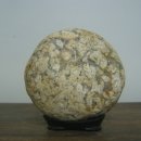 양석농장 이미지