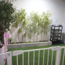 뿡뿡애견호텔 이미지