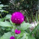 선원농장 이미지