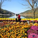 송해공원둘레길 이미지