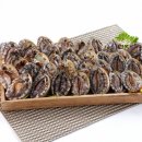 완도참전복집 이미지