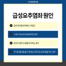 바로튼튼정형외과의원 네이버블로그