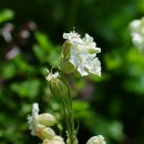 하늘정원2 이미지