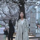 버디바 | 발편한 신발 르무통 버디와 함께한 르무통 산책회 in 부산 여행 추천