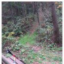 송촌목장 이미지