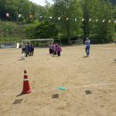 청리초등학교 이미지