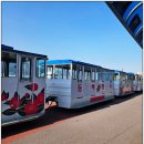 여수여행 | 여수 오동도 여행 후기 주차 소요시간 산책 팁 정리