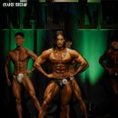 선샤인피티샵