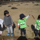 샘솔어린이집 이미지