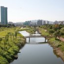 개나리공원4 이미지