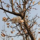 양안농장 이미지