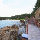 해파랑길 42코스 이미지