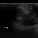 소로동물병원 이미지
