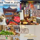 조가네외양간 | 직접 가본 경주 황리단길 애견동반식당 리스트 모음