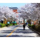 신철원감리교회 이미지