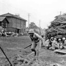 유림주유소 이미지