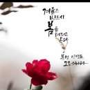 에그머니나