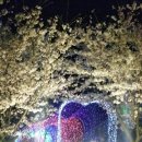 지방도925호선 Daum카페