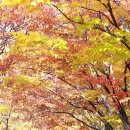 창원광장 앞 중앙대로 이미지