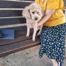 청봉초등학교 이미지