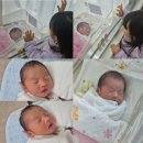 새울병원 | 우먼플러스산부인과 38주 1일 둘째 5박 6일 제왕절개 후기 짱이왕자님 탄생